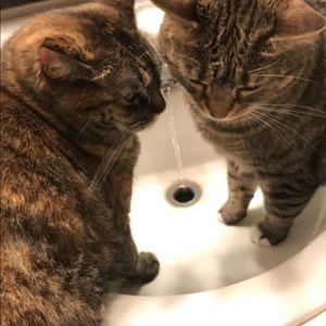 Meet your Posher, Kennedy